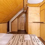 затишок Dragobrat