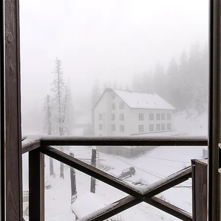 затишок דראגובראט