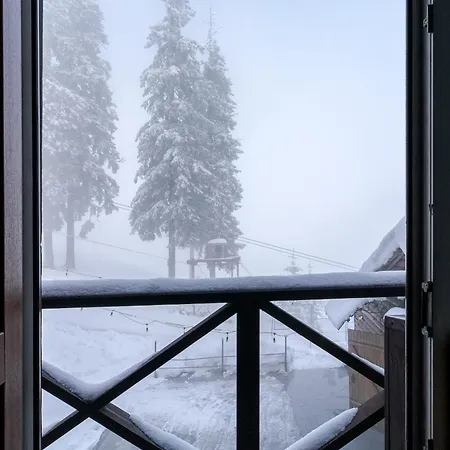 затишок דראגובראט